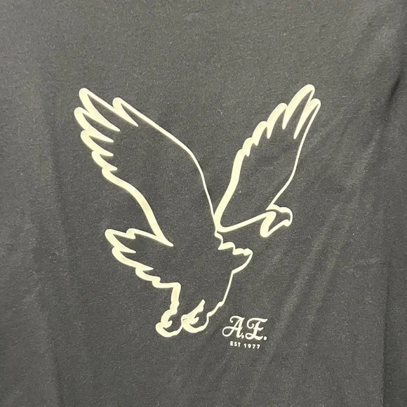 American Eagle Outfitters Men’s Black Long-Sleeve Tee with White Eagle Graphic - Picture 3 of 6